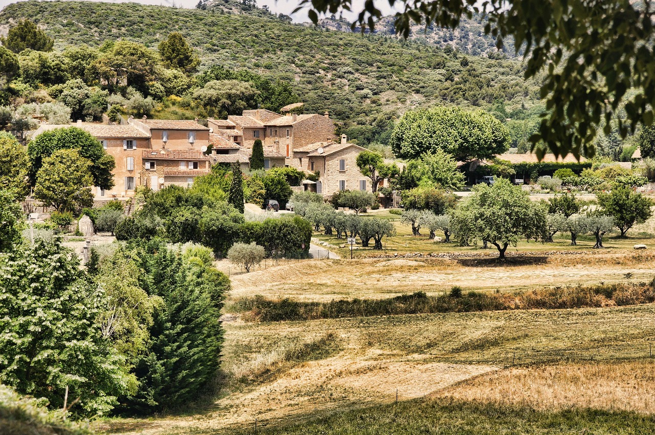 Place de village du sud de la France baignée de soleil et entourée de platanes.