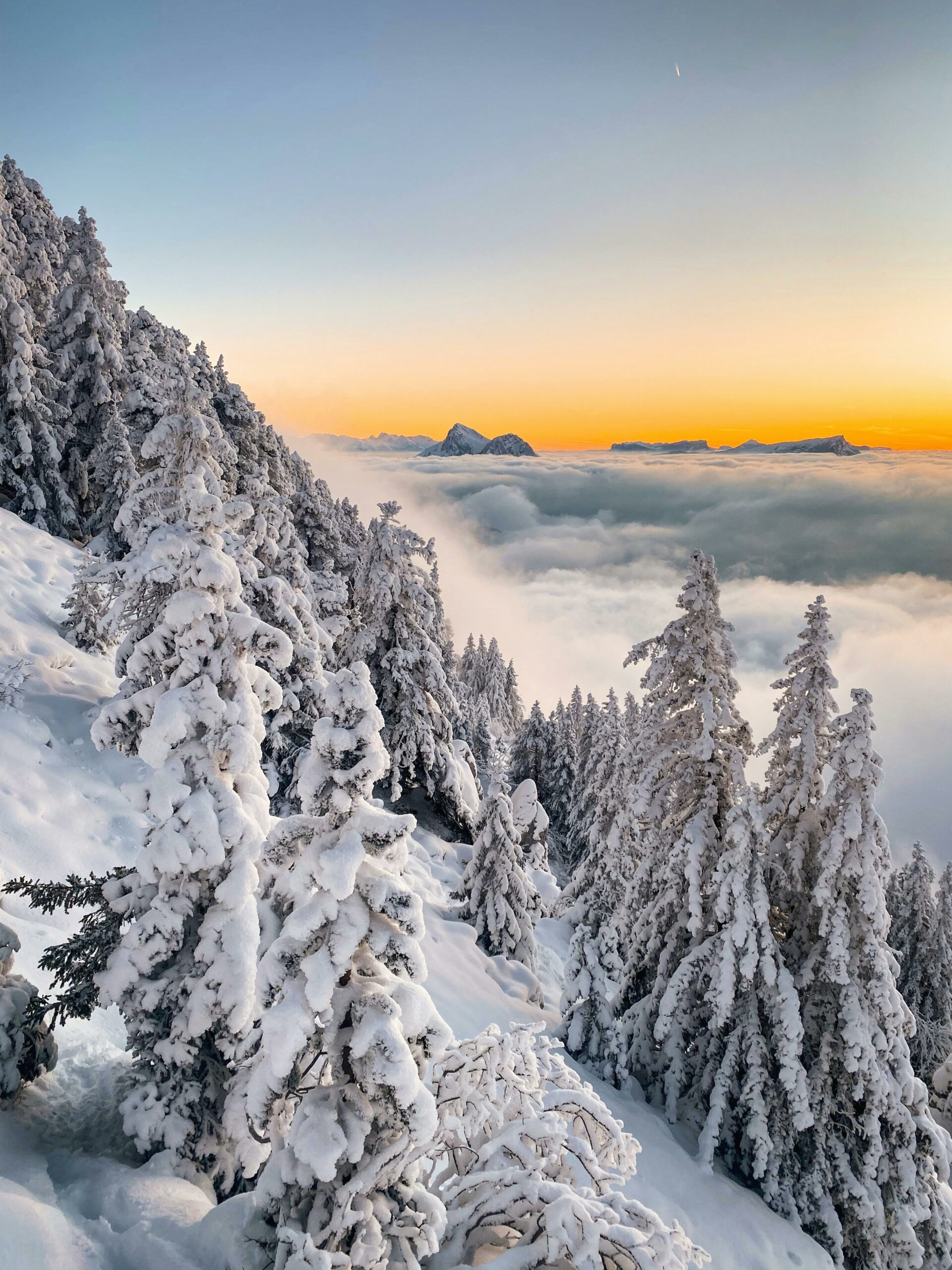 For&ecirc;t enneig&eacute;e des Alpes au coucher du soleil pour un week-end romantique en location alpine