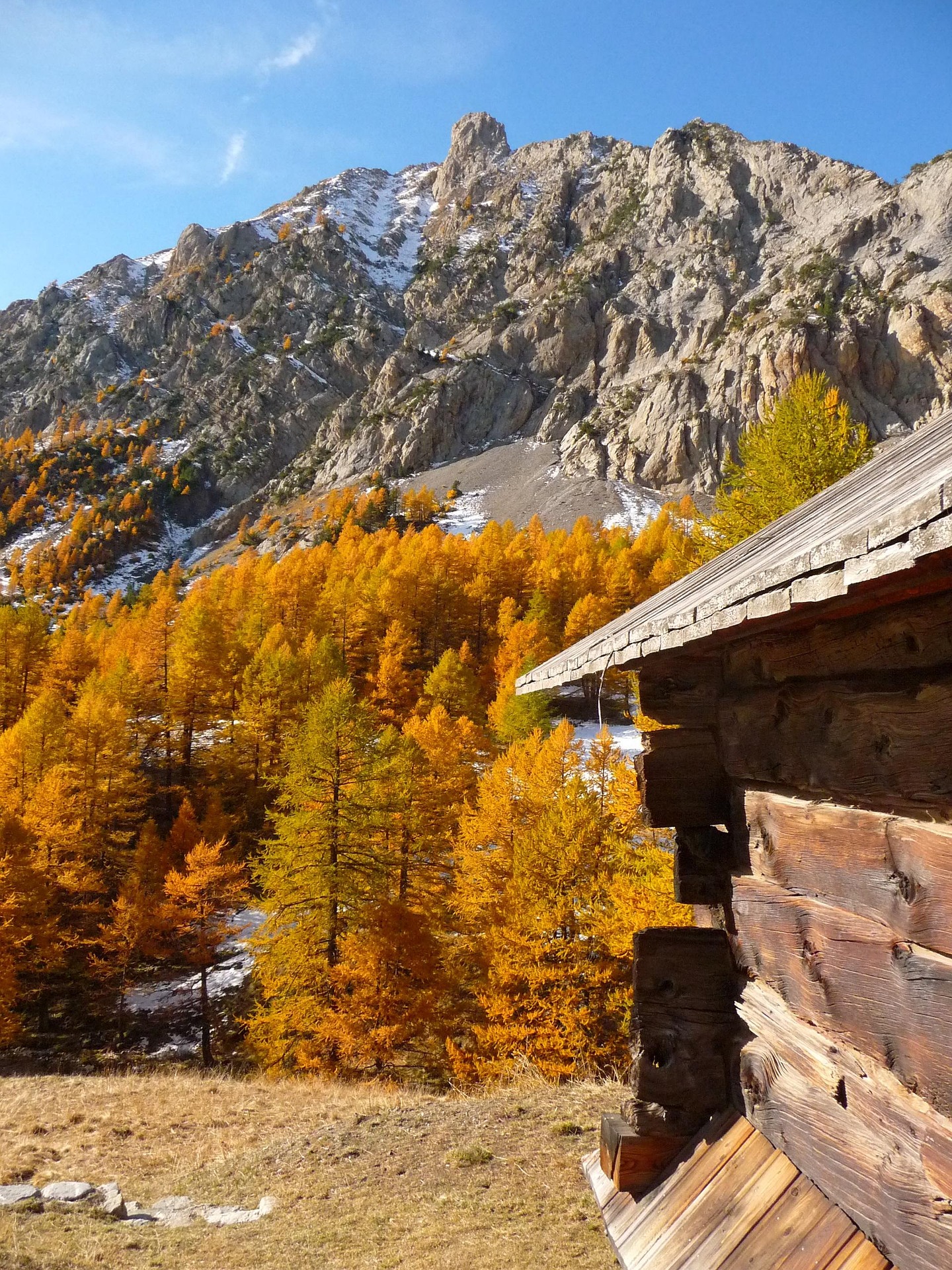 Chalet traditionnel en bois entour&eacute; de m&eacute;l&egrave;zes aux couleurs d&rsquo;automne dans le Queyras