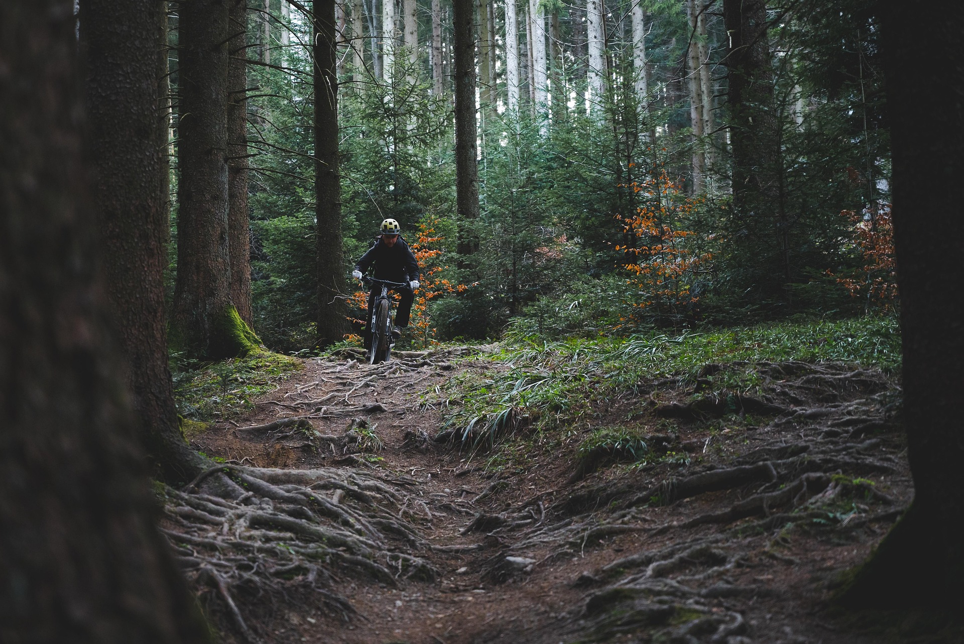 Cycliste en fat bike sur un sentier forestier dans le Queyras au c&oelig;ur des Hautes-Alpes